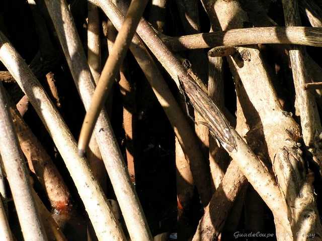 pict0075