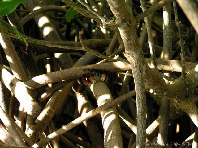 pict0076