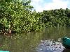 cliquez ici pour voir l'image (pict0077.jpg)
