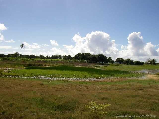 pict0089