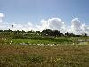 cliquez ici pour voir l'image (pict0089.jpg)
