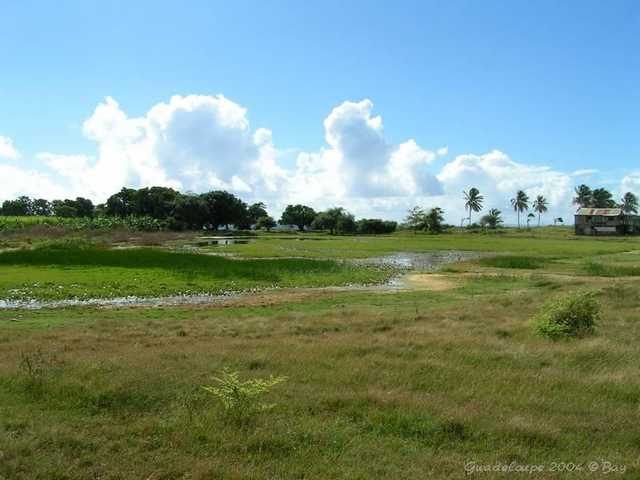 pict0090