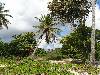 cliquez ici pour voir l'image (pict0093.jpg)