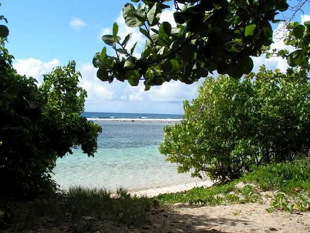 pict0094