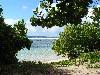 cliquez ici pour voir l'image (pict0094.jpg)