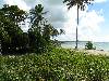 cliquez ici pour voir l'image (pict0095.jpg)