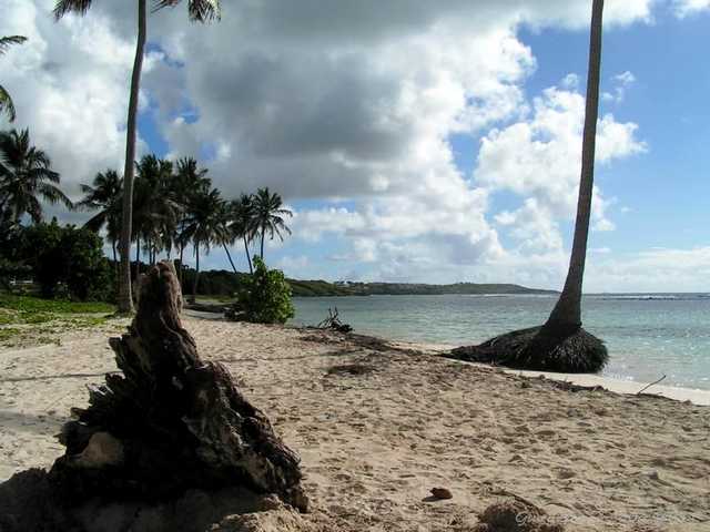 pict0096