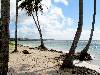 cliquez ici pour voir l'image (pict0097.jpg)