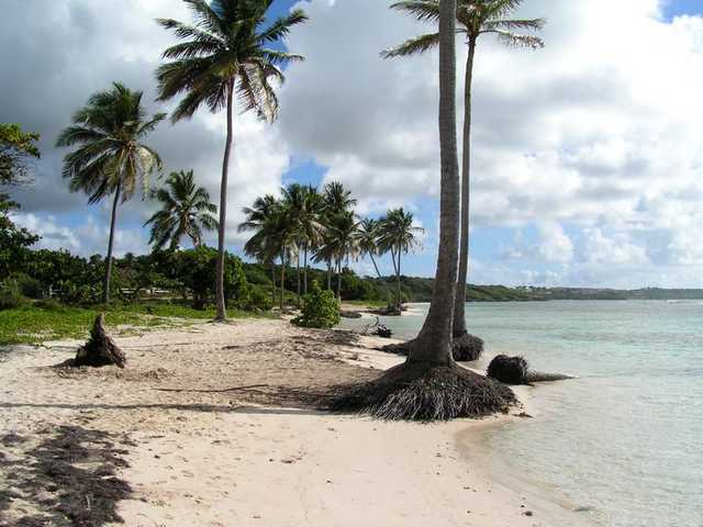 pict0099