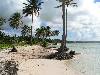 cliquez ici pour voir l'image (pict0099.jpg)