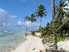 cliquez ici pour voir l'image (pict0100.jpg)
