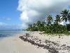 cliquez ici pour voir l'image (pict0101.jpg)