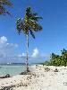 cliquez ici pour voir l'image (pict0102.jpg)