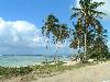 cliquez ici pour voir l'image (pict0103.jpg)