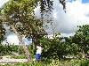 cliquez ici pour voir l'image (pict0107.jpg)