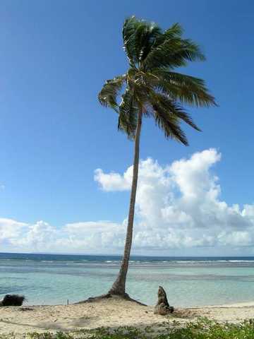 pict0111