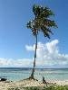 cliquez ici pour voir l'image (pict0111.jpg)