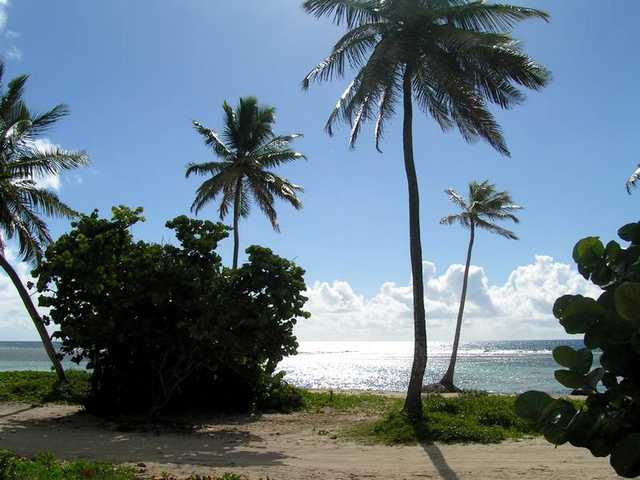 pict0112
