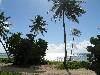 cliquez ici pour voir l'image (pict0112.jpg)
