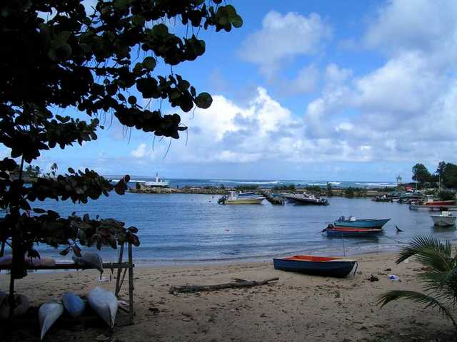 pict0114