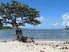 cliquez ici pour voir l'image (pict0131.jpg)