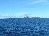 cliquez ici pour voir l'image (pict0149.jpg)