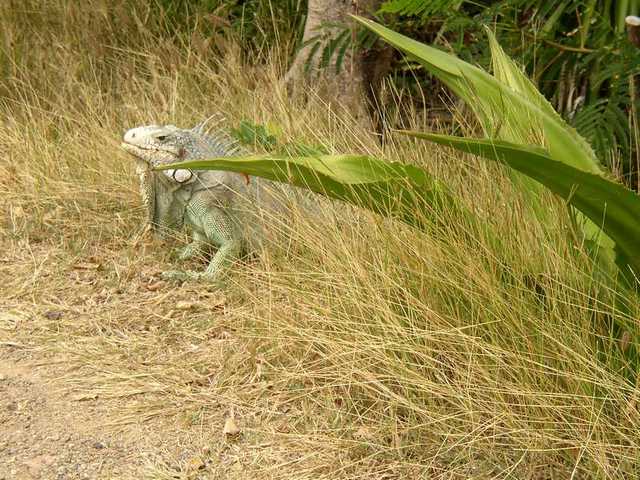 pict0161