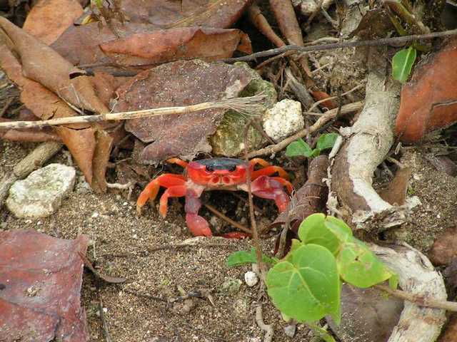 pict0194
