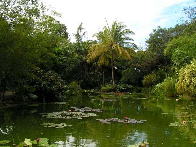 pict0195