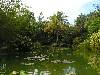 cliquez ici pour voir l'image (pict0195.jpg)