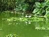 cliquez ici pour voir l'image (pict0197.jpg)