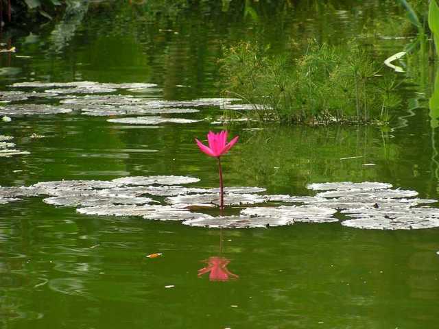 pict0198
