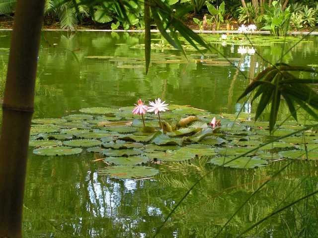 pict0200