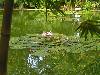 cliquez ici pour voir l'image (pict0200.jpg)