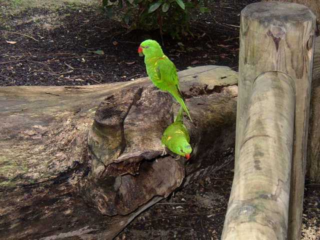 pict0202
