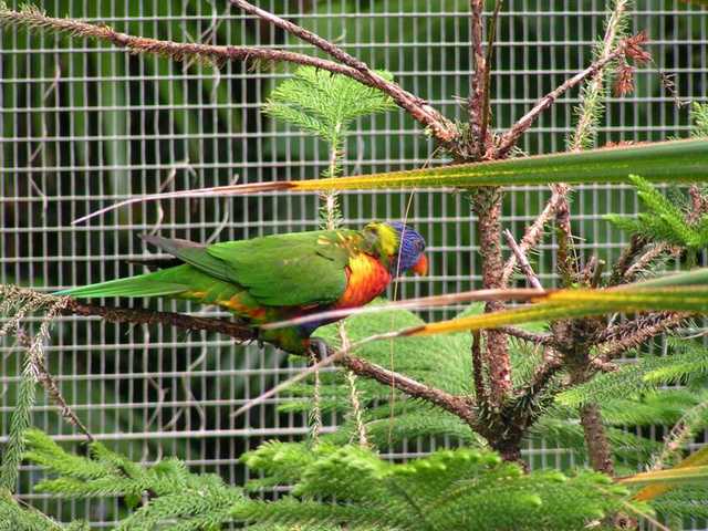 pict0203