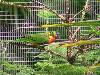 cliquez ici pour voir l'image (pict0203.jpg)