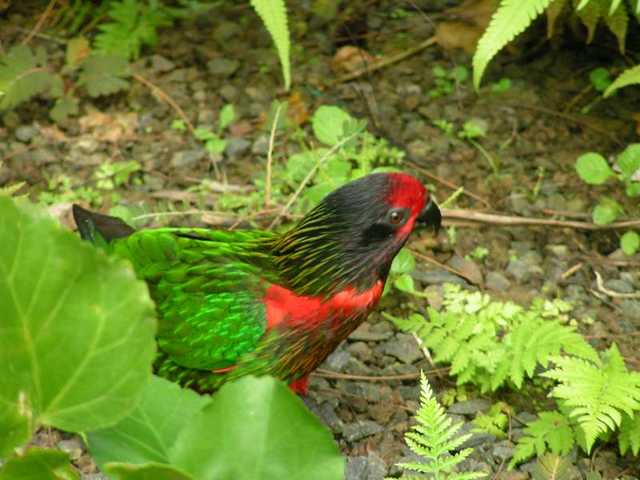 pict0204