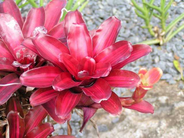 pict0207