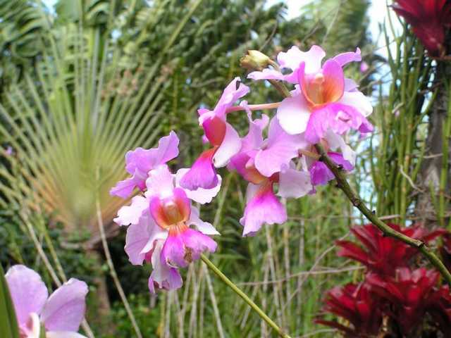 pict0208
