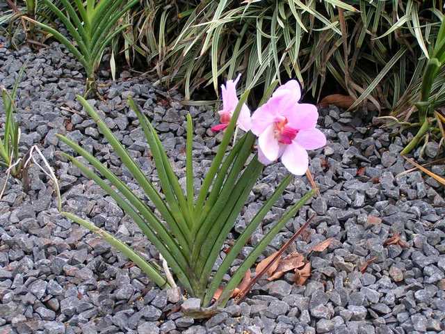 pict0210