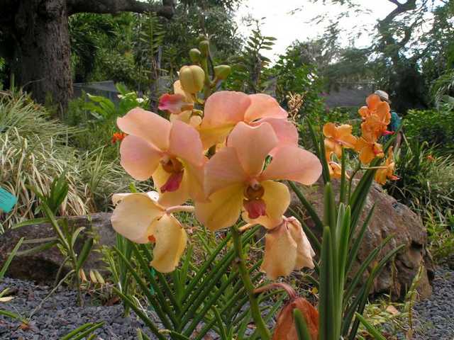 pict0211