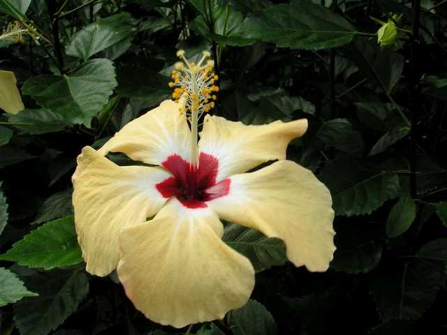 pict0212