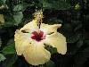 cliquez ici pour voir l'image (pict0212.jpg)