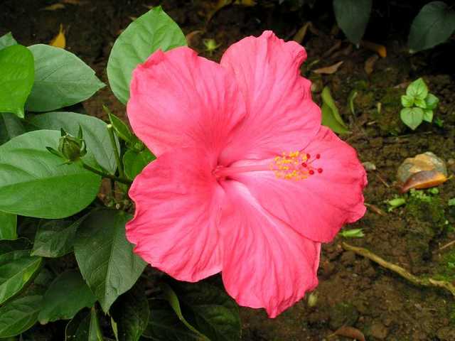 pict0214