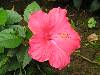 cliquez ici pour voir l'image (pict0214.jpg)