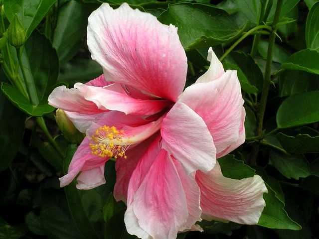 pict0216