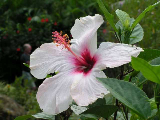 pict0217