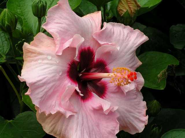 pict0218