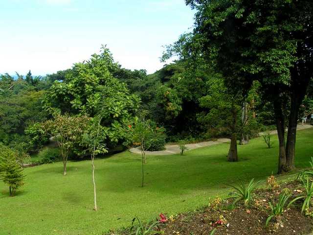 pict0220